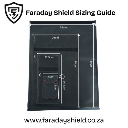 Faraday 2